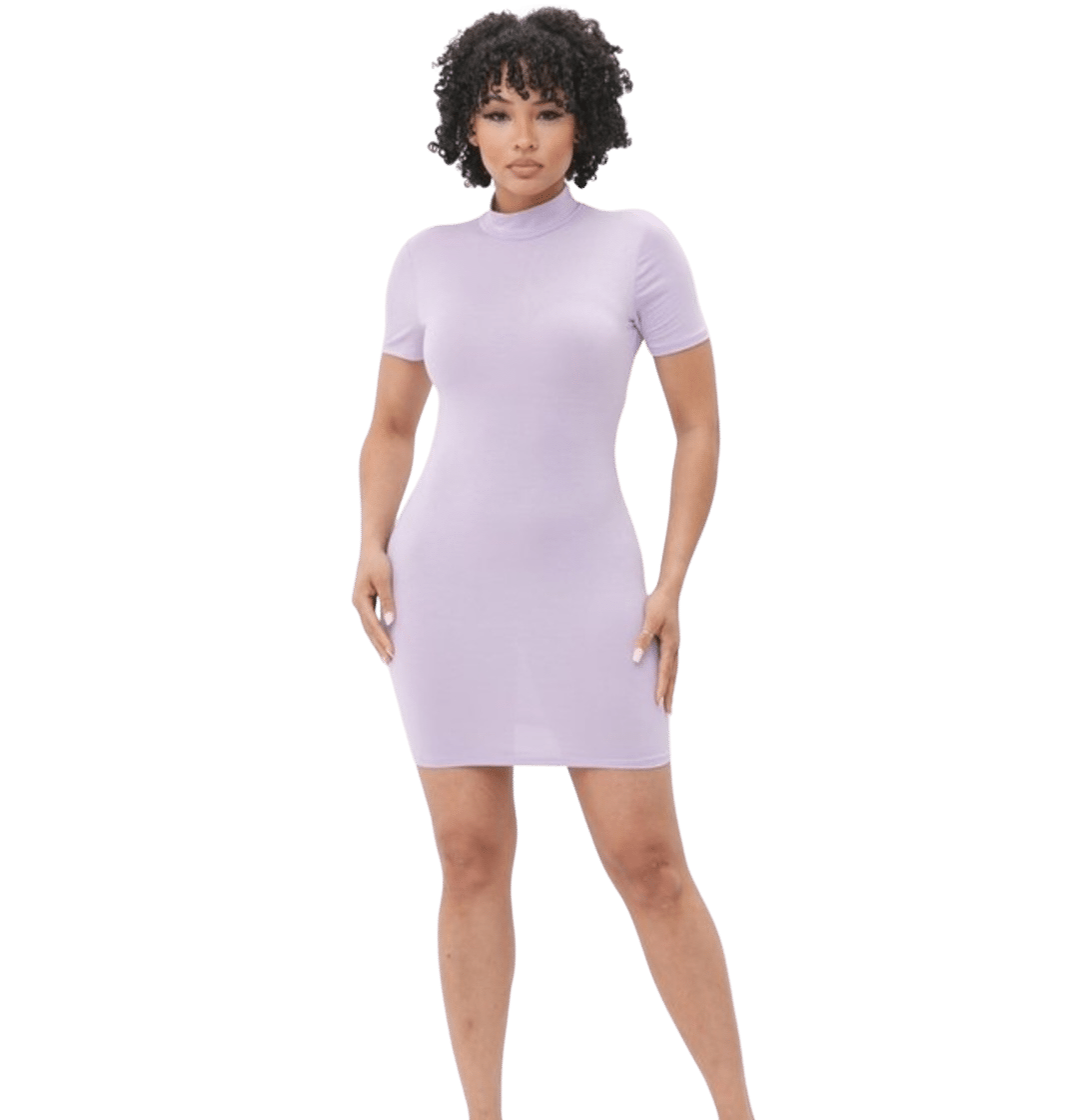 Short Sleeve Mock Neck Mini Dress